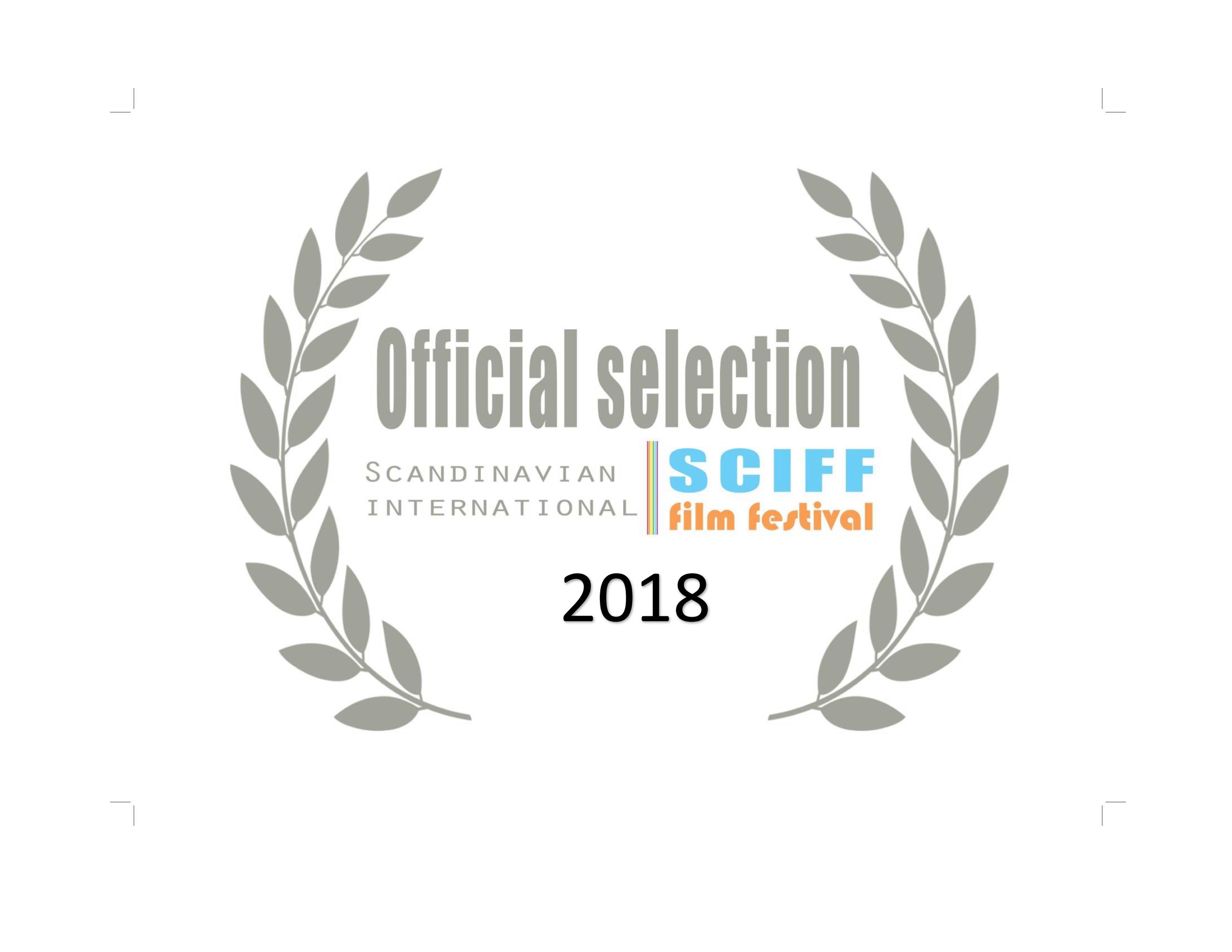Скандинавский Международный кинофестиваль 2018 год